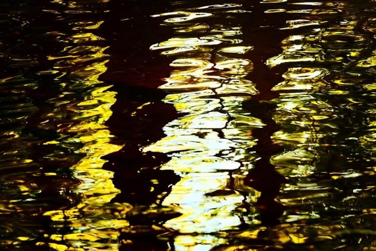 A7D415EB-6B07-4626-8183-3C33026C8CCB 3