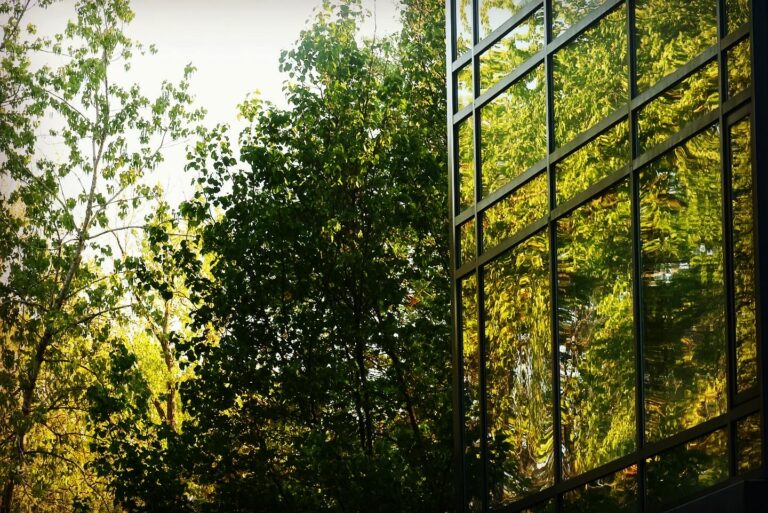 ADEEB1A7-AFDD-444E-A150-4E3B1DFF6649