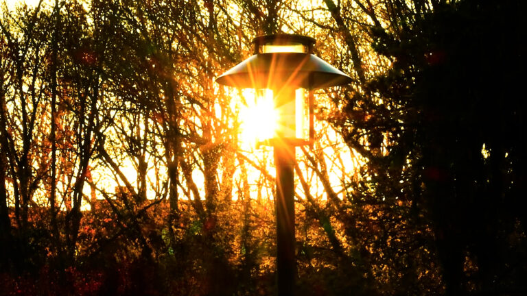 C and L project.00_09_45_13