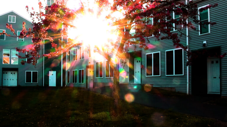 C and L project.00_14_11_21