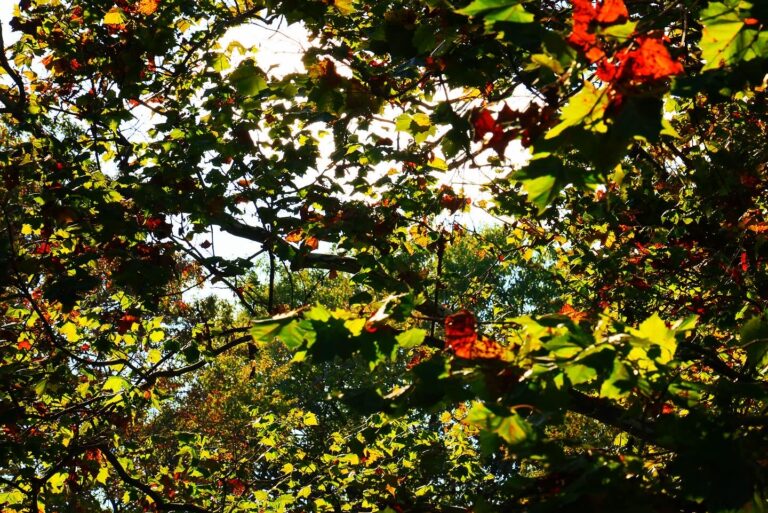 D68F0BD1-BD59-43E6-B994-696BFF86632E